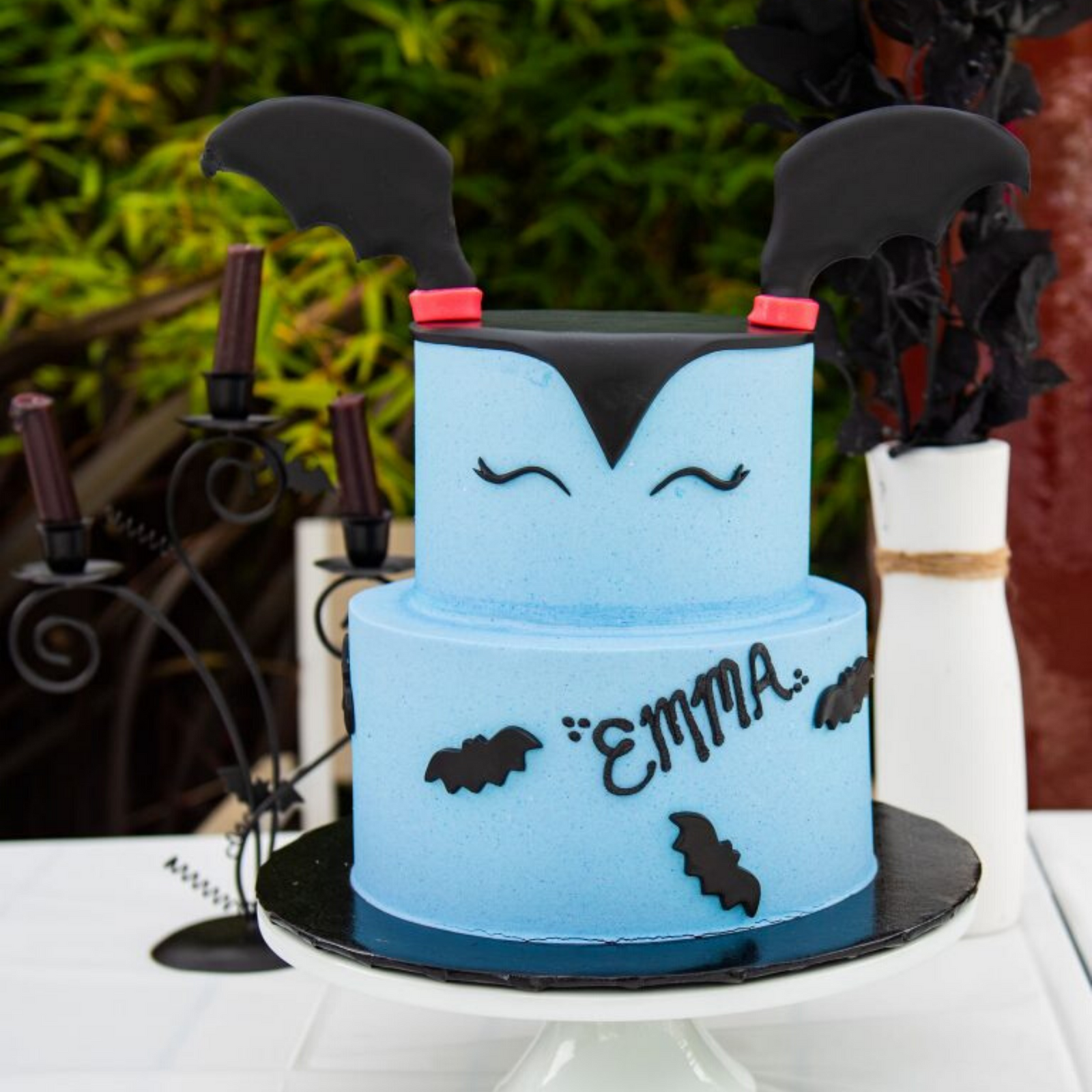 A Vampirina Birthday Party