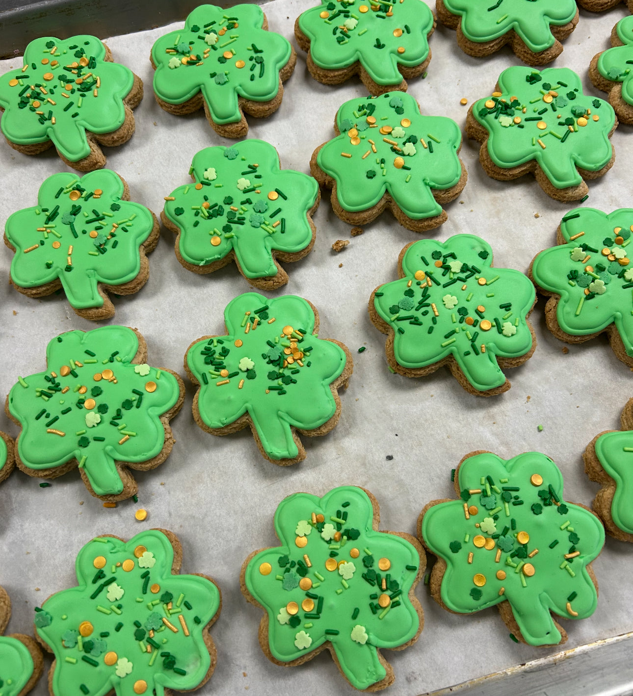 Shamrock Sugar Cookies