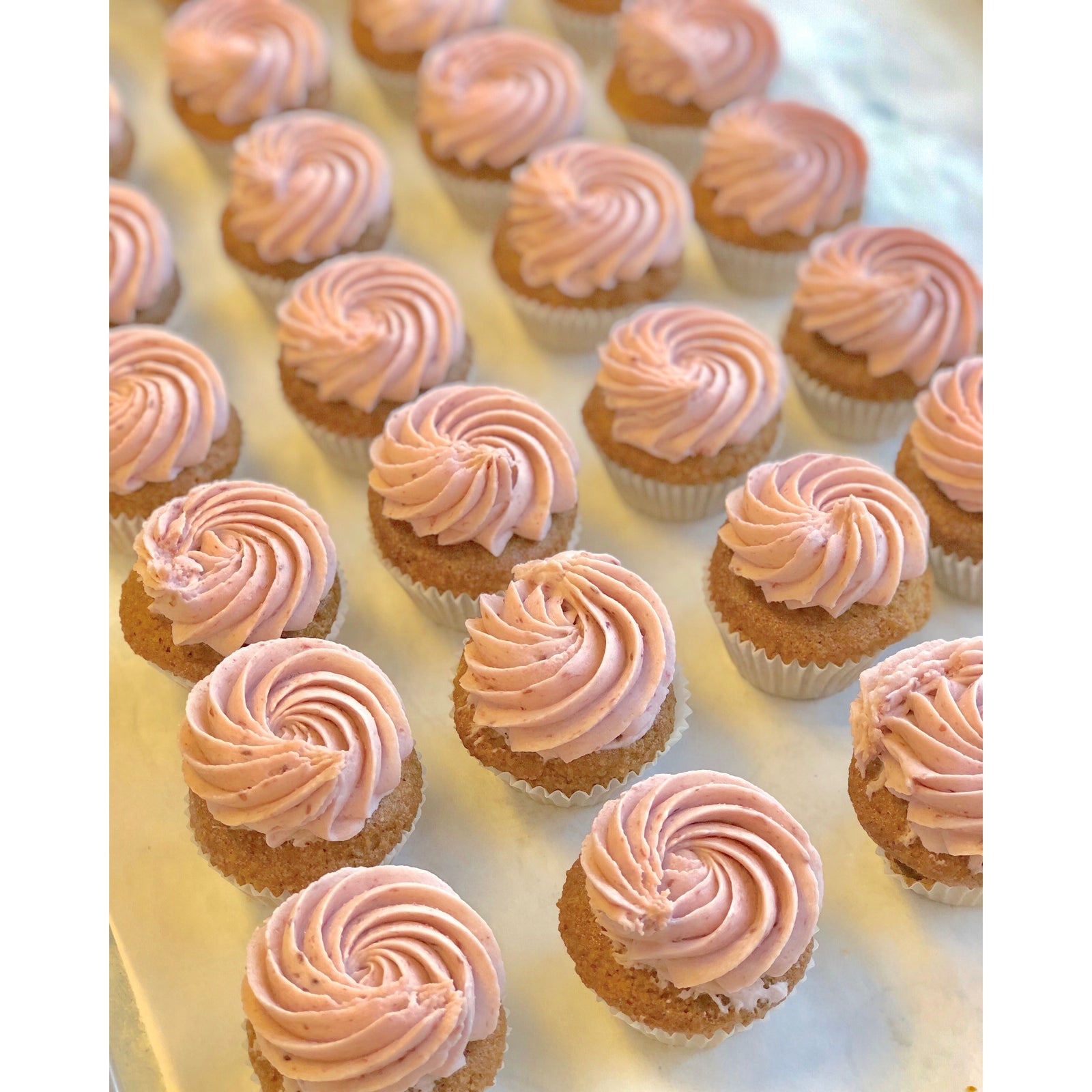 Vanilla & Hint of Lemon Cupcake with Raspberry Jam Buttercream *Local delivery & pick-up only*